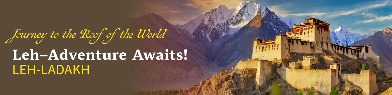 leh tour